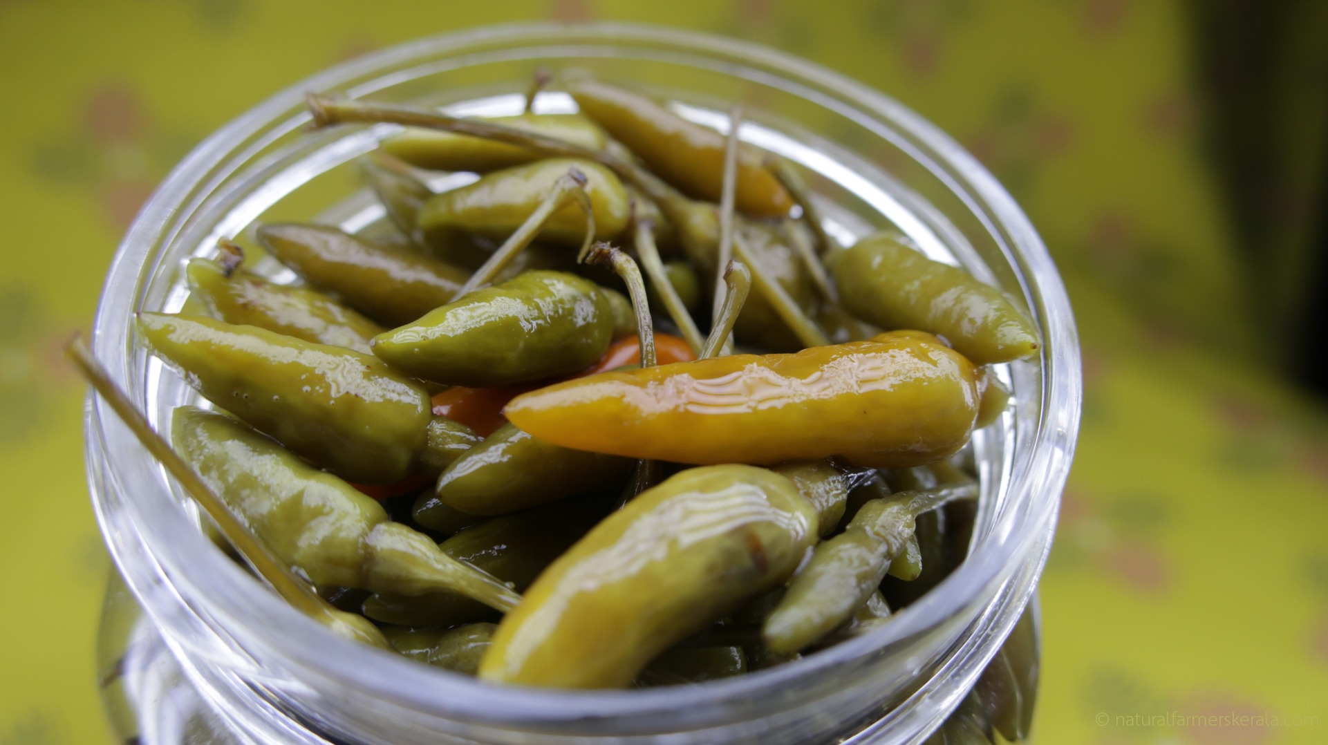 Chilli Pickle - Image 2