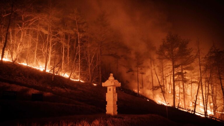 തെക്കൻ കൊറിയയിൽ കാട്ടുതീ; മരണം 24 ആയി